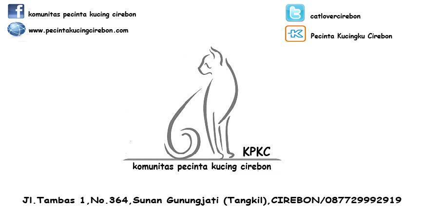 Kucing Pecinta Komunitas