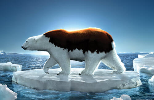 10 Poster Global warming