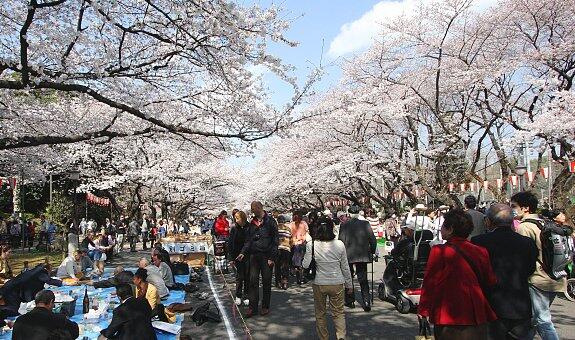 Keindahan dan tempat wisata negara SAKURA (Jepang)