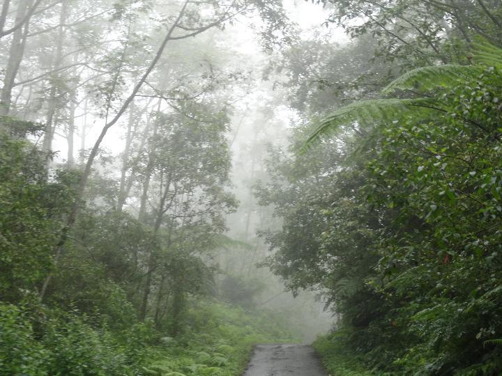 &#91;CATPER&#93; Bacpacker ke Kawah Ijen Banyuwangi 06/07/12