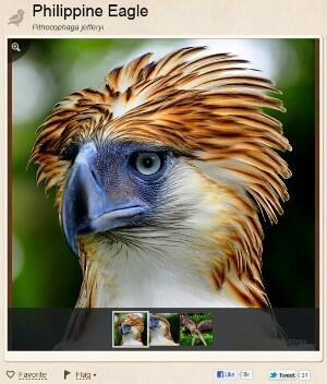 All About The Unique, Funny, and Amazing Animals! &#91;UPDATE&#93;