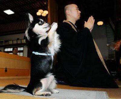 Kumpulan Foto Lucu dan Aneh yang Cuma Ada di Jepang