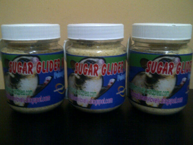 SG Nutrisi yang dibutuhkan Tupai Sugar Glider spy sehat,gendut,lincah!!!