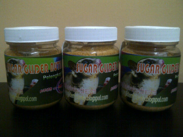 SG Nutrisi yang dibutuhkan Tupai Sugar Glider spy sehat,gendut,lincah!!!