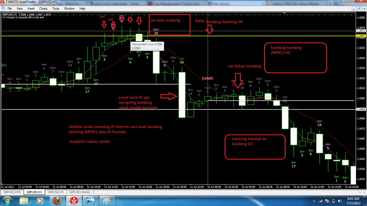 Dvd forex kaskus