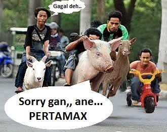 BENER2 BB+++ GAN