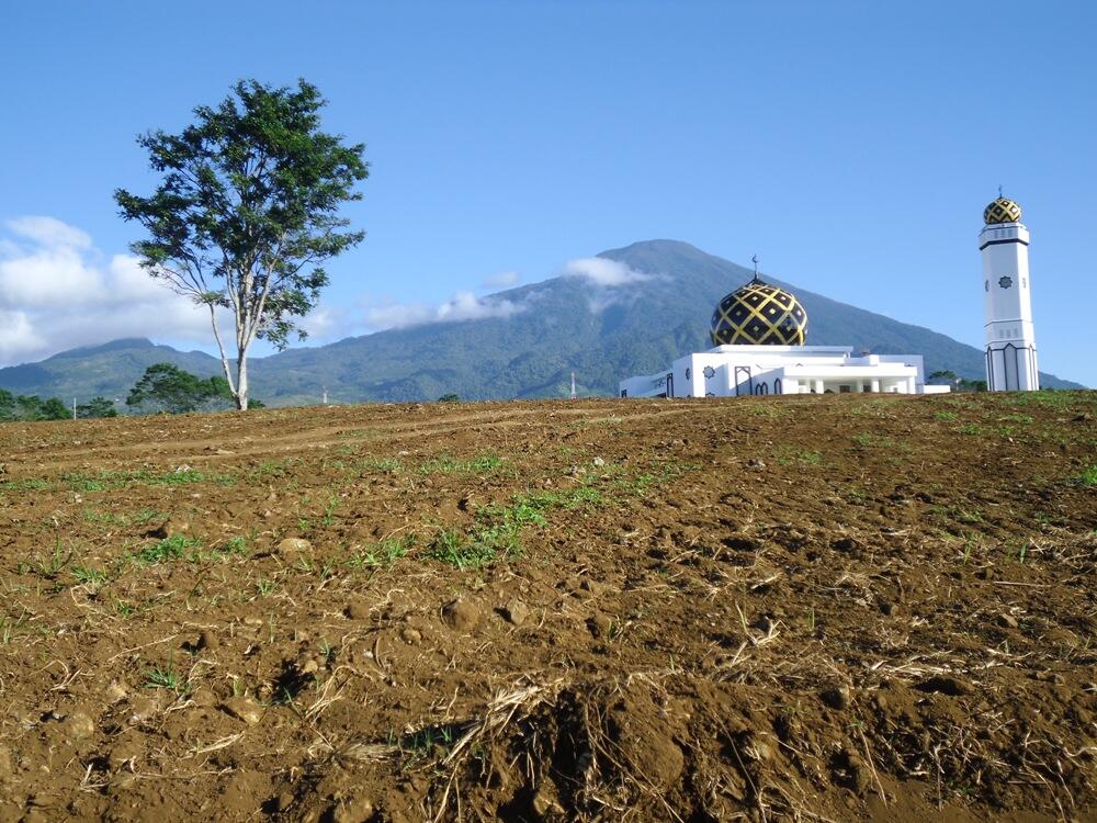 Pemandangan yang indah