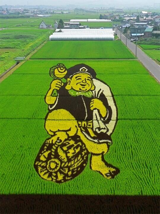 Pemandangan Sawah Terindah di Salah Satu Kota Jepang