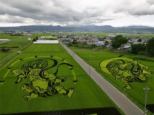 Pemandangan Sawah Terindah di Salah Satu Kota Jepang