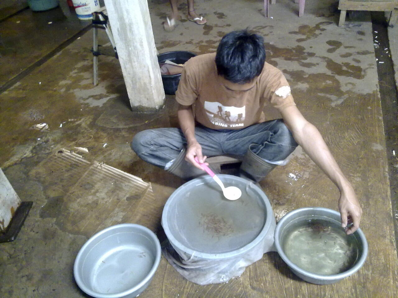 Suplaier ikan hias air tawar TERMURAH masuk gan!!!!