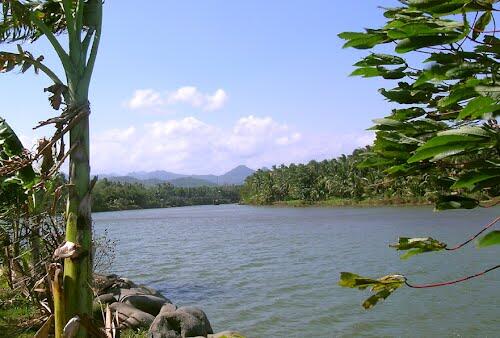 Tips Mancing Mangar (mangrove Jack )