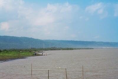 Tips Mancing Mangar (mangrove Jack )