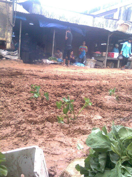 kota LA (lumpur abis) gan