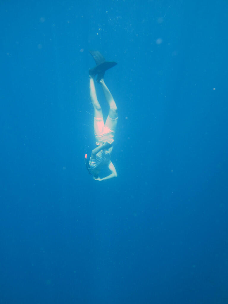 &#91;SHARE&#93; Freediving di Pulau Menjangan