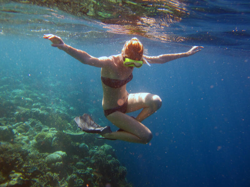 &#91;SHARE&#93; Freediving di Pulau Menjangan