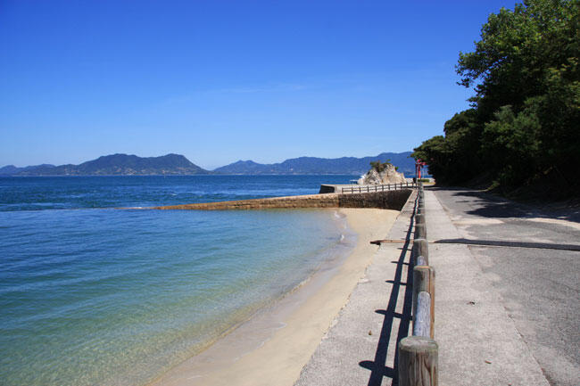 Lucunya! Pulau Ini Dipenuhi Kelinci - Pecinta kelinci wajib liburan kesini cekidot