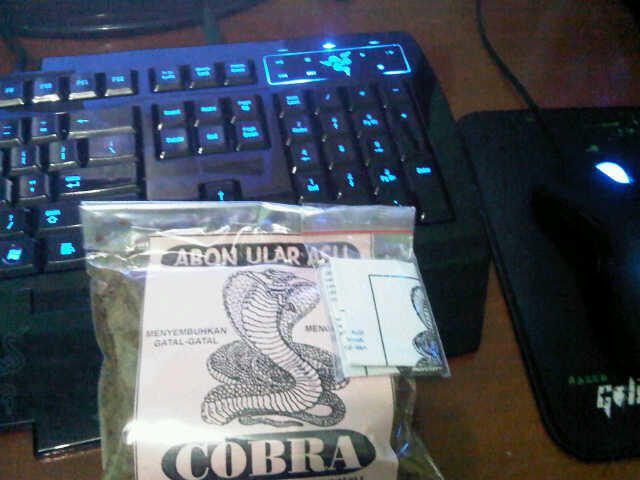 Abon ular cobra
