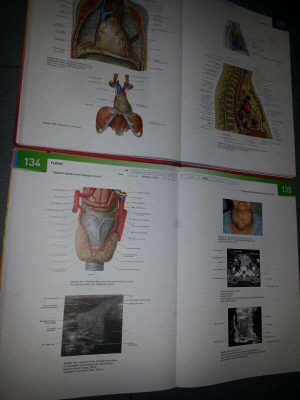 ATLAS ANATOMI SOBOTTA ED 22 LENGKAP 2nd
