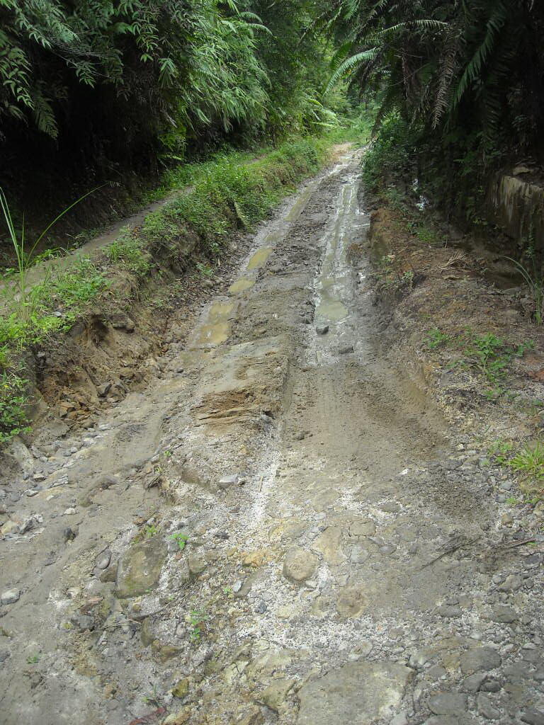 Tinggiraja, Kecantikan Bukit Geothermal di Pedalaman Hutan Sumatera Utara