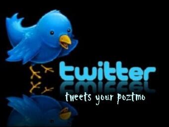 jual 30 akun twiter gan