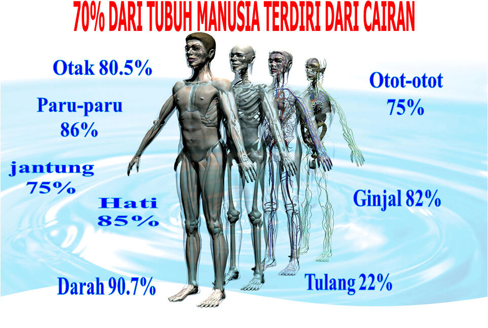 Manfaat Air Oxygen O2 Bagi Manusia Terutama Tubuh Kaskus Archive