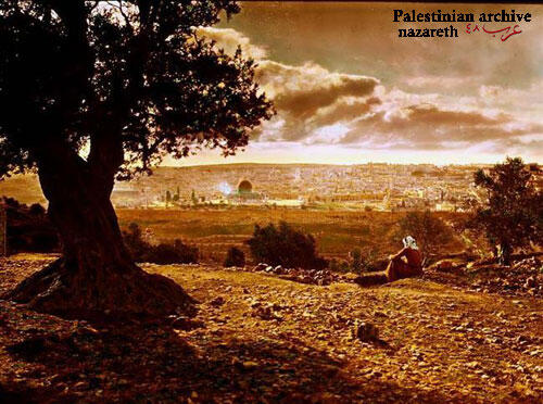 Foto Palestina 1900 Sebelum Dijajah Israel