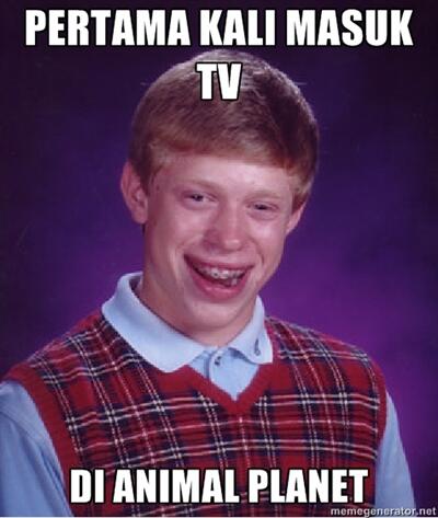 BAD LUCK BRIAN ... ALA KASKUS...update