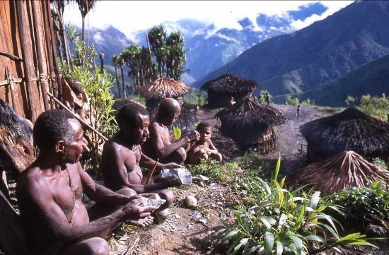 12 Suku Hutan Tropis Yang Diambang Kepunahan Part 2  KASKUS