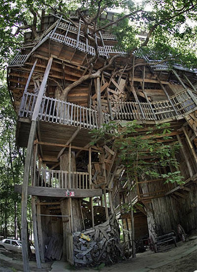 Ini dia gan 10 rumah pohon paling unik di dunia