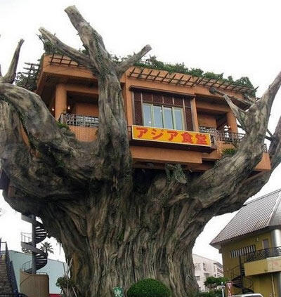 Ini dia gan 10 rumah pohon paling unik di dunia