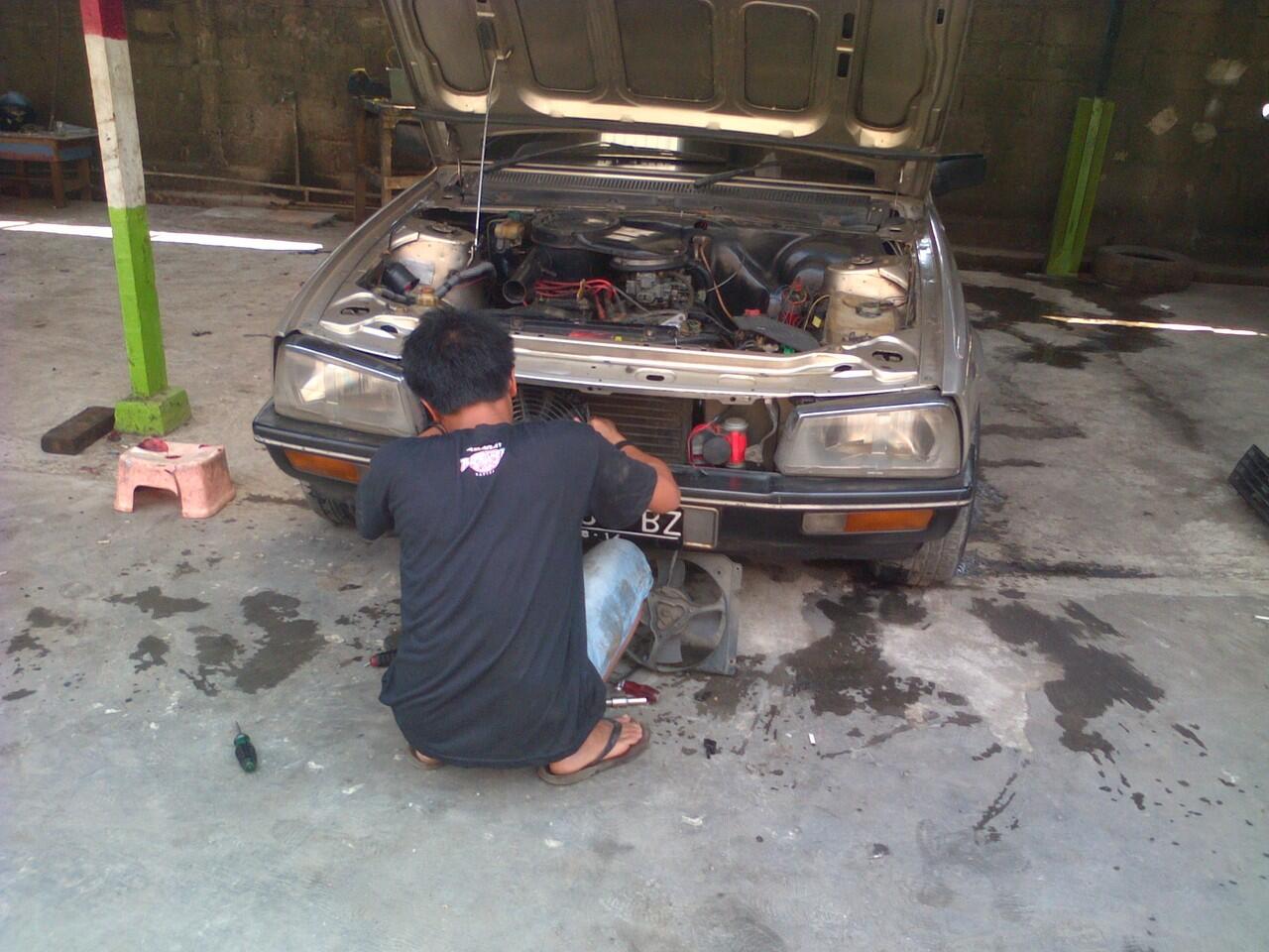 peugeot 505