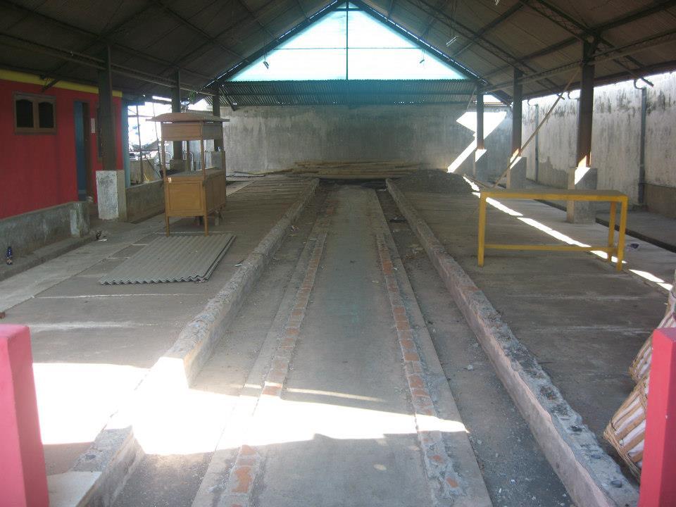 Newbie Entrepreneur butuh masukan ide n investor untuk segala usaha,