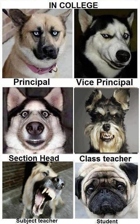 &#91;Share&#93; Galeri Foto Lucu Masa-masa Sekolah