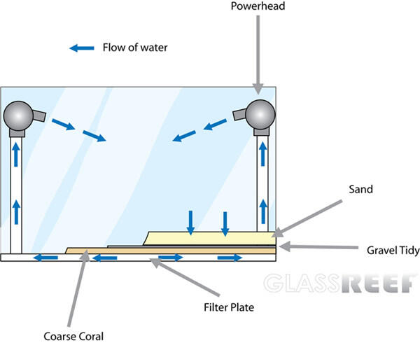 Balasan Dari Undergravel Kit For Graveled Aquarium Kaskus