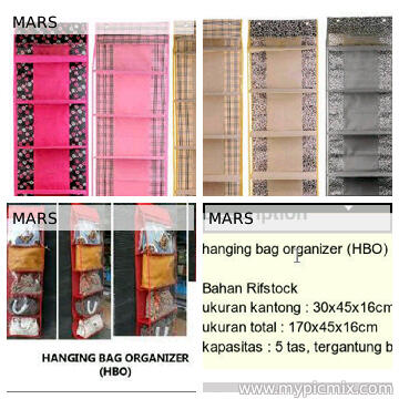 Hanging Bag Organizer