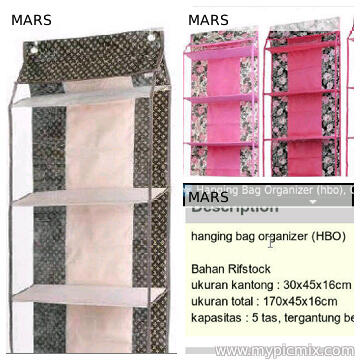Hanging Bag Organizer