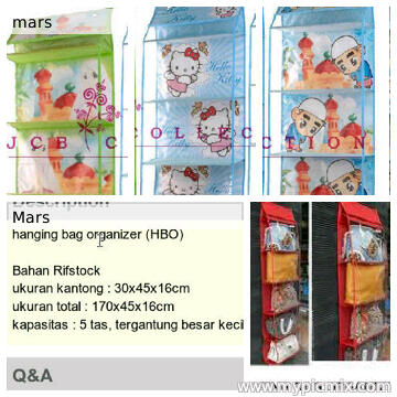 Hanging Bag Organizer