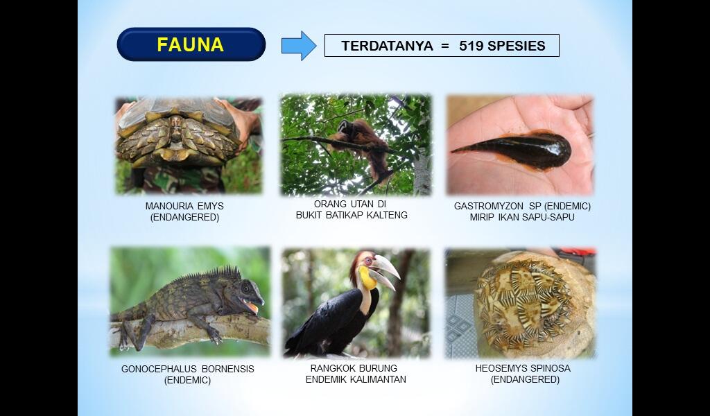 (Ekspedisi Khatulistiwa 2012) Kegiatan yang Menumbuhkan Rasa Cinta Tanah Air