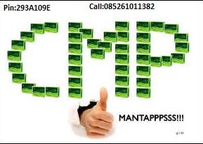 Chlorophyl Mint Powder (HWI)