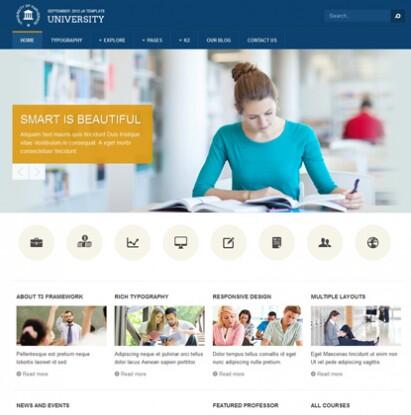 Jasa Pembuatan Website Custom Toko Online, Company Profile, Blog, Forum - PROMO!
