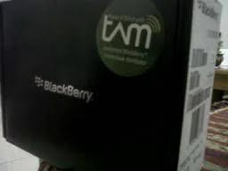 Blackberry Curve 3G 9300 Mulussss
