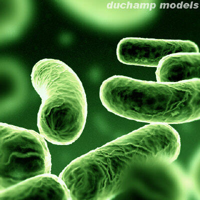 Bakteri dalam Ponsel 10 Kali Lipat Daripada Toilet