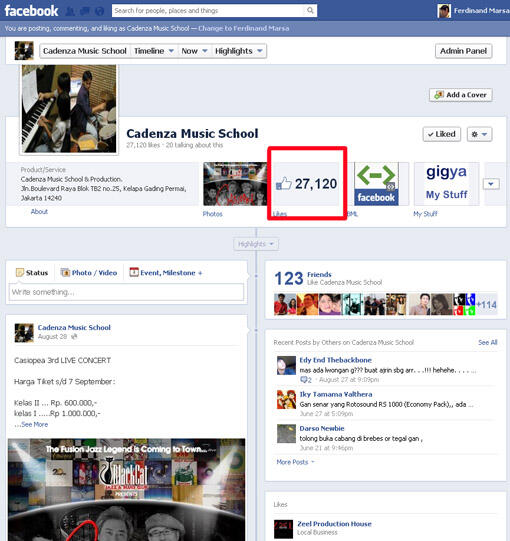 BIOLA / VIOLIN DAN ACCESSORIESNYA