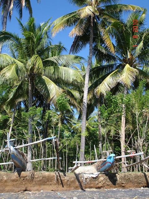 Tanah di Bondalem, Singaraja - BALI