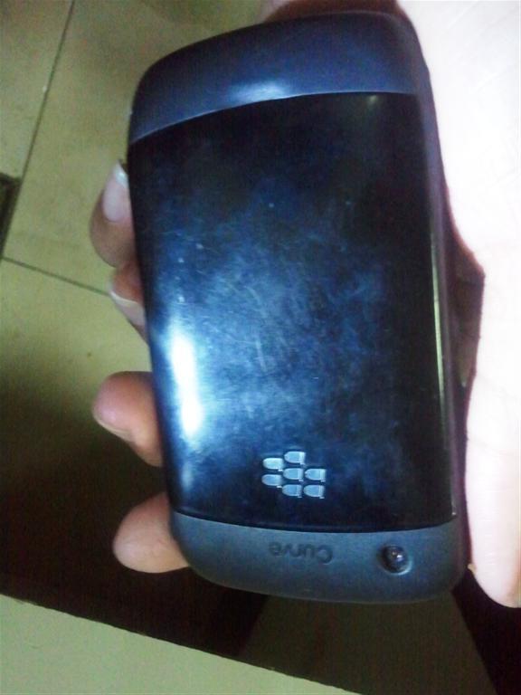 Blackberry Gemini Grs TAM Jogja