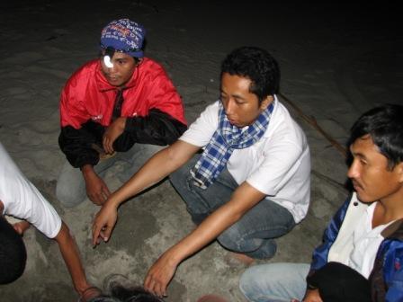Konservasi penyu retak ilir muko-muko,bengkulu