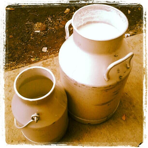 jual susu sapi murni mentah! antar sampai rumah (y)