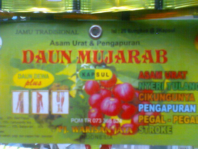 OBAT HERBAL UNTUK ASAM URAT, RHEMATIK, PENGAPURAN, STROKE, CIKUNGUNYA, NYERI TULANG..