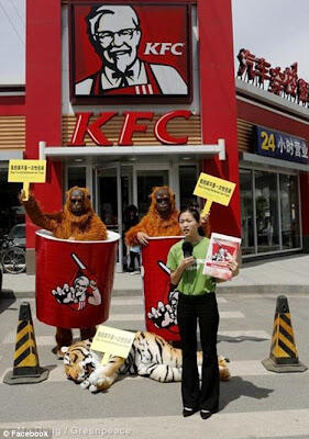 Ternyata KFC Menjadi Perusak Hutan yang Ada di Indonesia