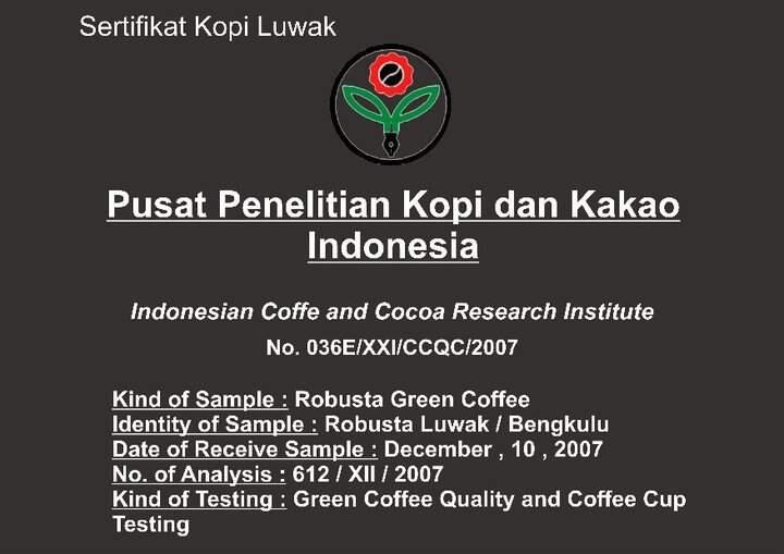 Kopi Luwak Sumatra , 100% authentic
